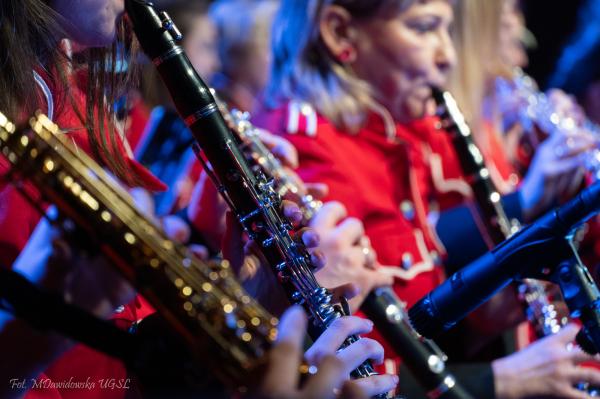 Koncert Karnawałowy w Suchym Lesie, fot. Małgorzata Dawidowska- kliknij aby powiększyć