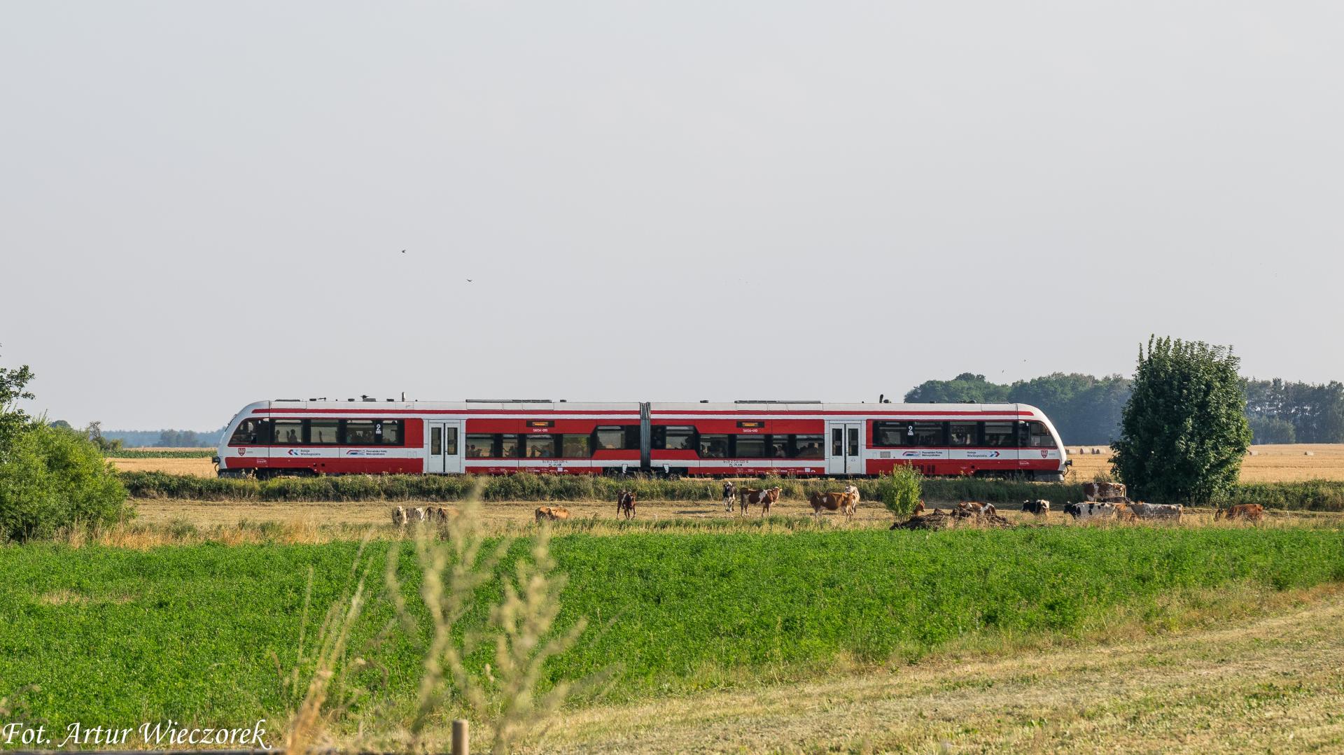 Konsultacje dot. rewitalizacji linii kolejowej Gostyń – Kąkolewo  - zobacz więcej