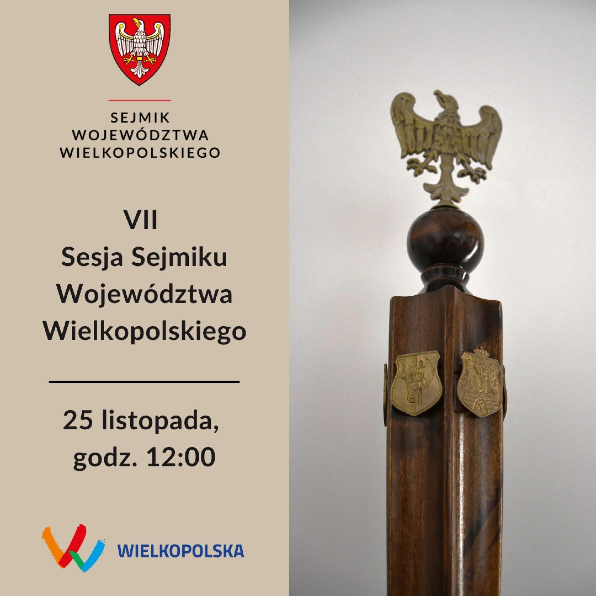 VII Sesja Sejmiku Województwa Wielkopolskiego  - zobacz więcej